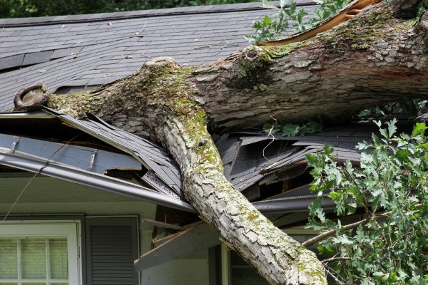 Storm Remediation in Boston