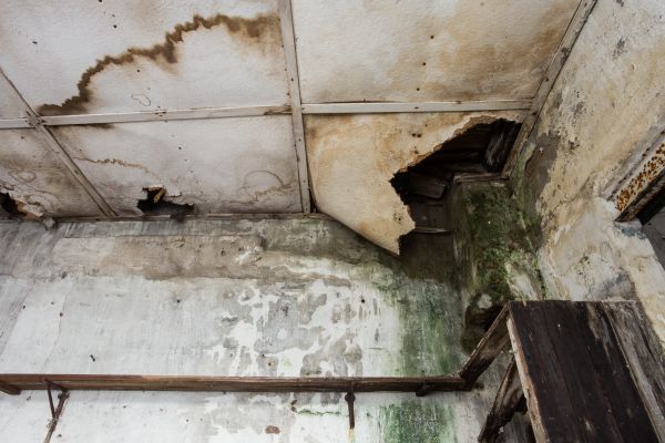 Water Damage Service in Boston