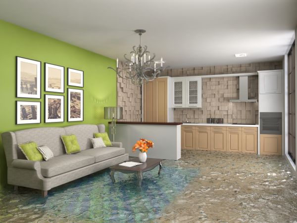 Wet Carpet Drying in Boston