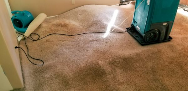 Carpet Water Extraction in Boston