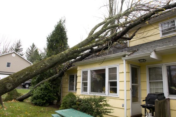 Hurricane Damage Repair in Boston